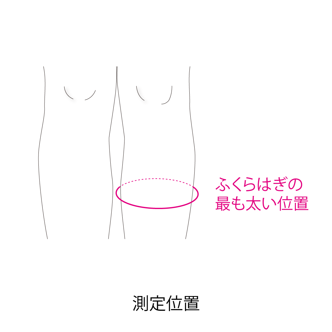 ラインアップサポーター ふくらはぎ一般用