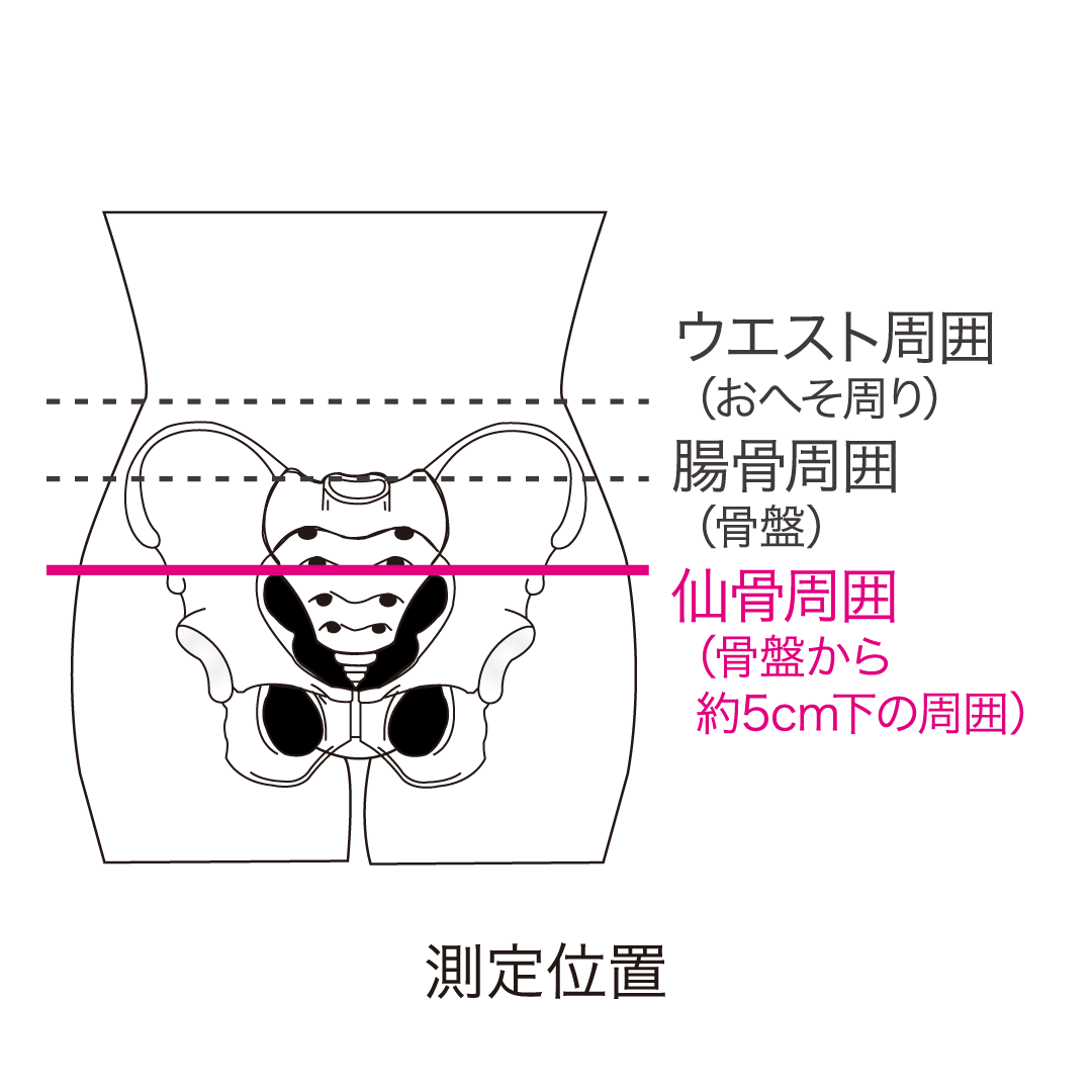 ダイヤ丸型骨盤バンド