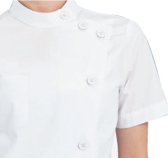 レディス医務衣半袖 ブロード