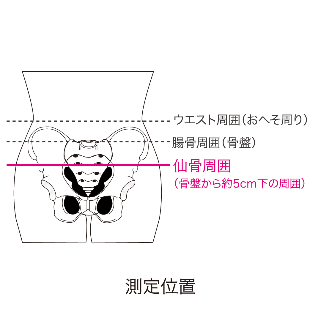 骨盤ヘルパー