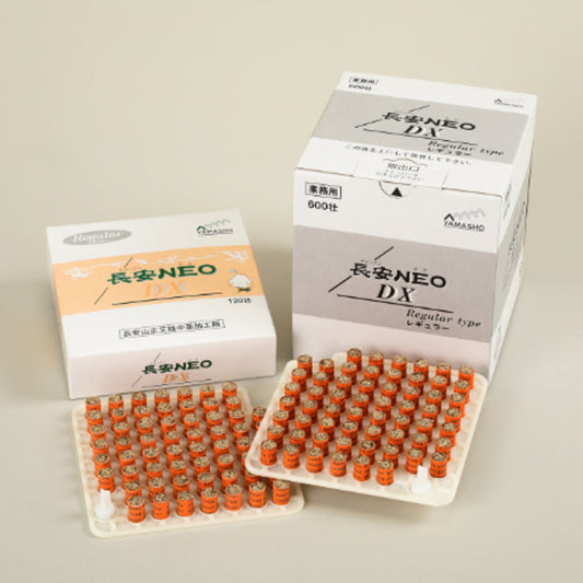 長安NEO DX レギュラー