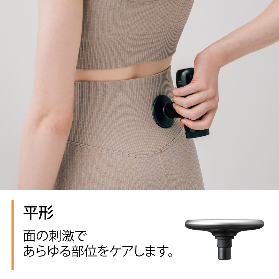 REBIVE MINI XS 2（リバイブミニXS2）