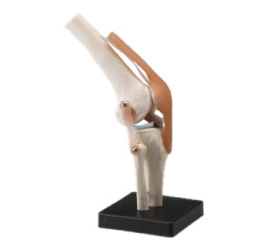 menu_item.collection.value.title